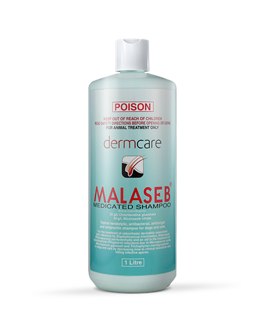 Dermcare Malaseb 1L Medicated Shampoo - Dogs & Cats - Exp 06/25